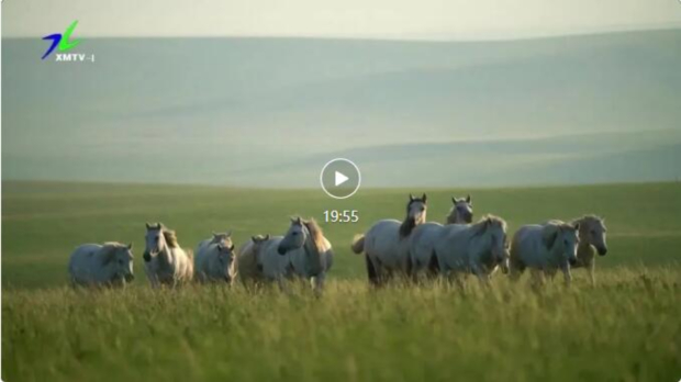 QQ��ͼ20240805094003 (2).jpg