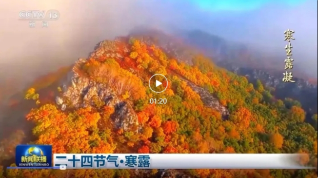 ΢�Ž�ͼ_20241010133549 (2).jpg