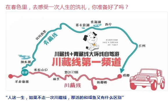 微信截图_20240131164402.jpg 微信截图_20240131164402.jpg